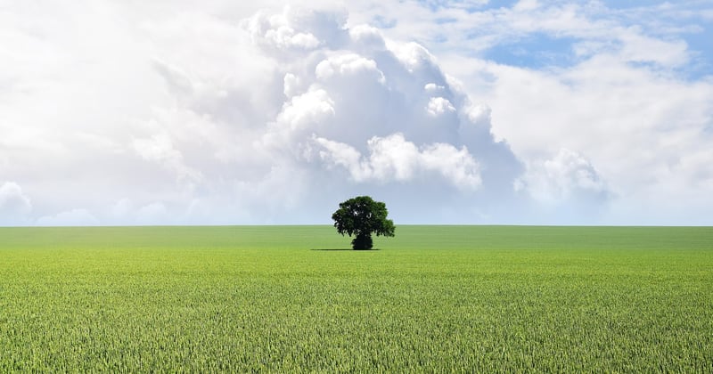 Cloud Backup vs Local Backup: Which One Fits Your Needs Best